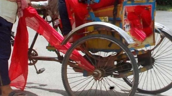 সোনারগাঁয়ে রিকশার চাকায় ওড়না পেঁচিয়ে গৃহবধূর মর্মান্তিক মৃত্যু